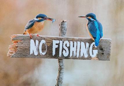 No-Fishing_Sasa-Stanisic-Heimat